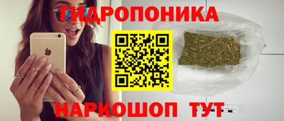 крисы Изобильный