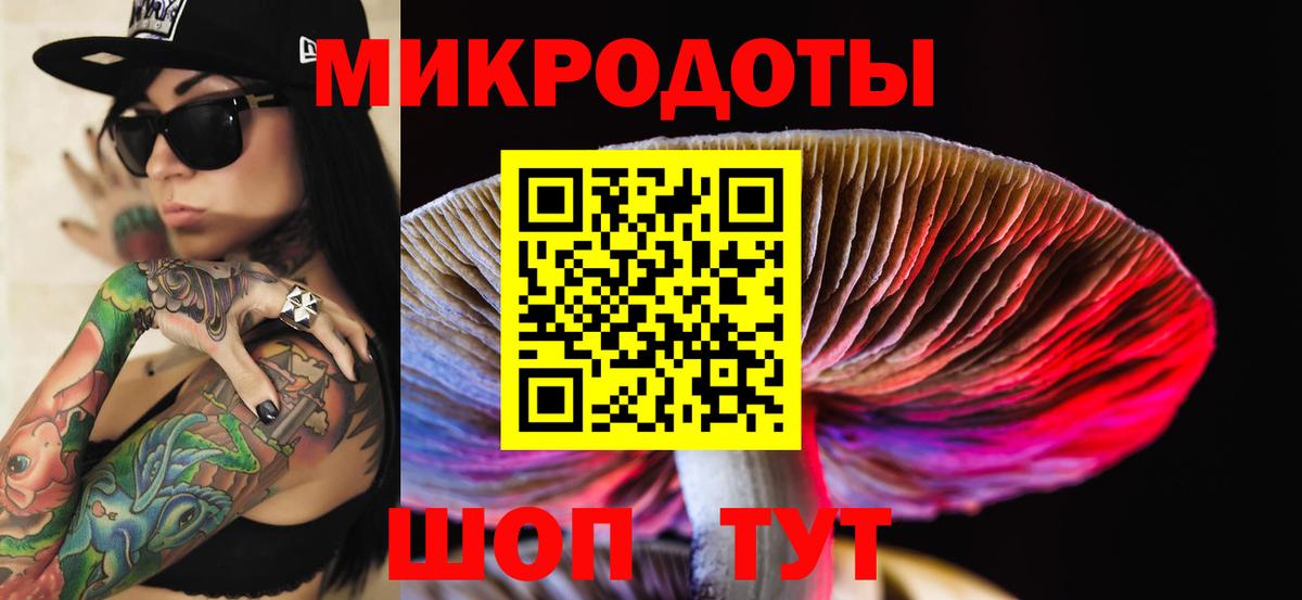 Псилоцибиновые грибы Psilocybine cubensis Кызыл